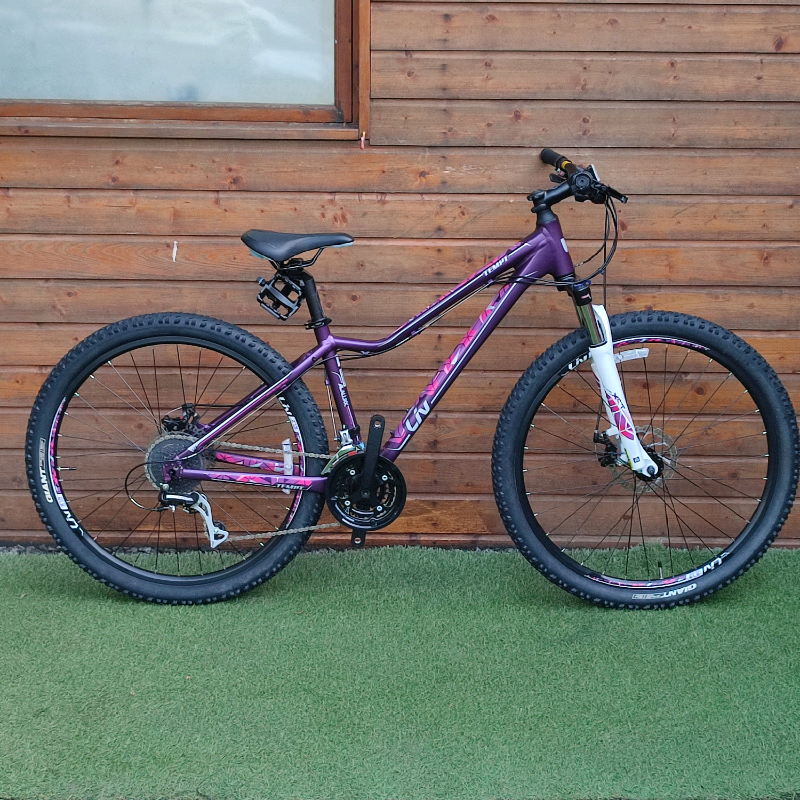Mint Giant LIV women ladies Mountain 